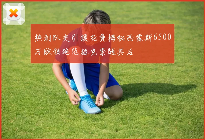 热刺队史引援花费揭秘西蒙斯6500万欧领跑范赫克紧随其后