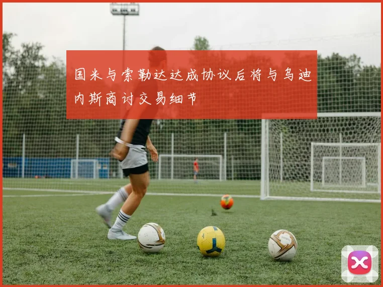 国米与索勒达达成协议后将与乌迪内斯商讨交易细节